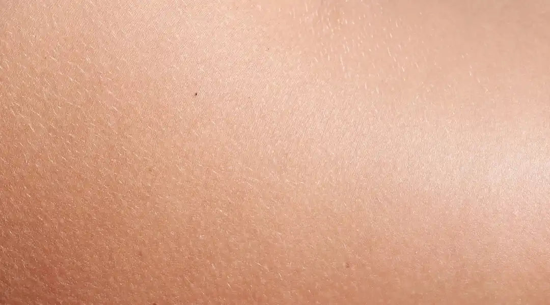 The Hidden Truth About Skin Absorption